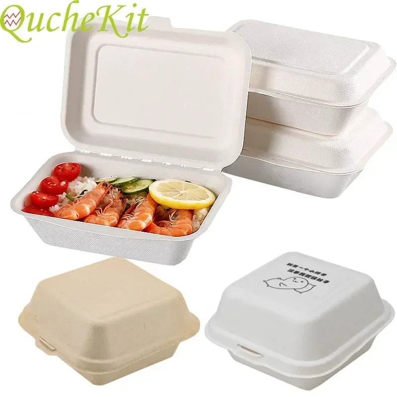 Lancheira Ecológica Descartáve - Baby Food Prep Containers avaliação e preço